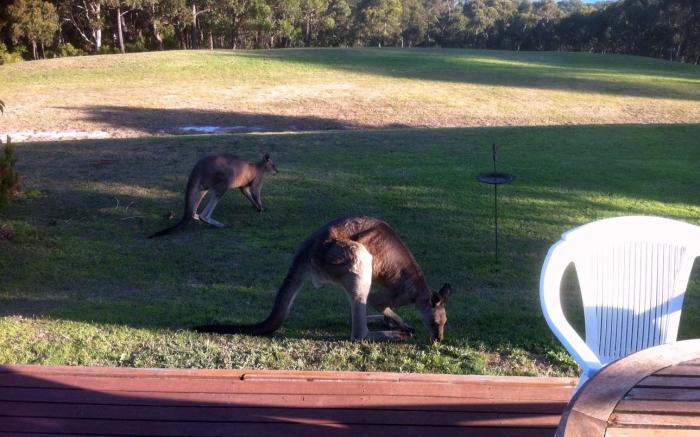 Lorne Bush House Cottage & Eco Retreats