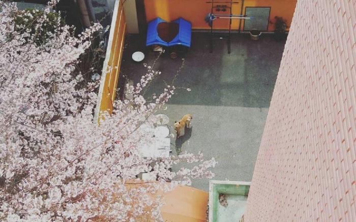 Long stay hostel Sinchon Hongdae