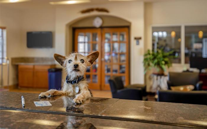 Best Western Firestone Inn & Suites
