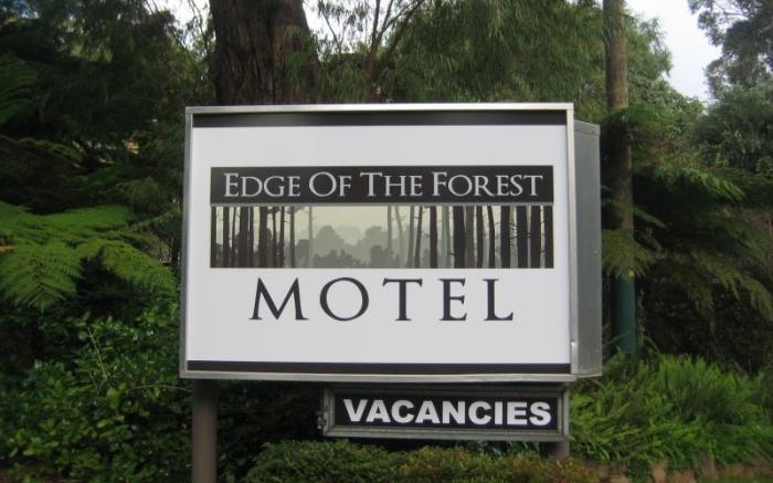 Edge Of The Forest