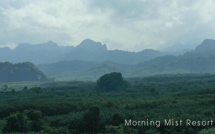 Morning Mist Resort