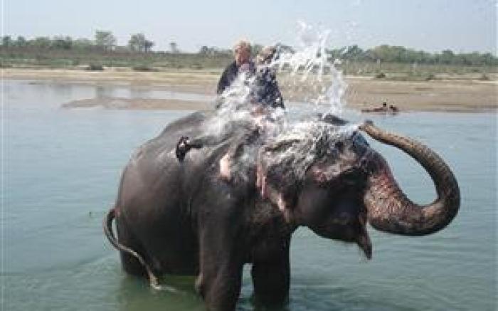 Jungle Wildlife Camp