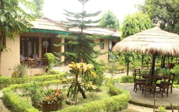 Eden Jungle Resort