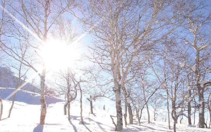 Asahidake Onsen  Yumoto Yukomansou