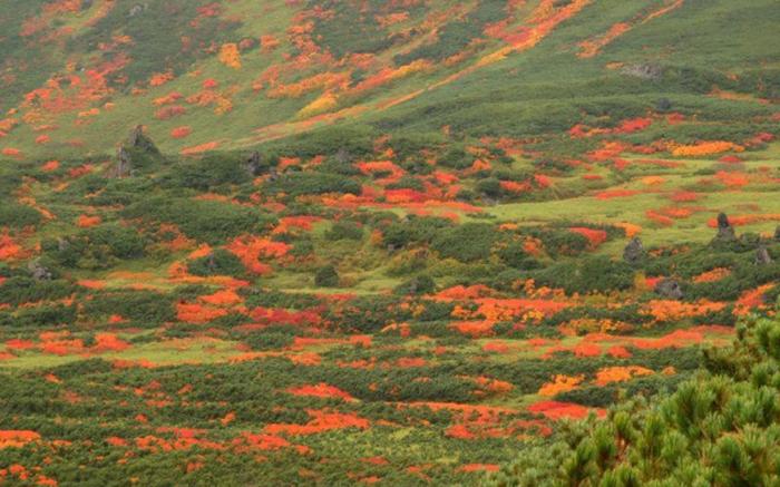Asahidake Onsen  Yumoto Yukomansou