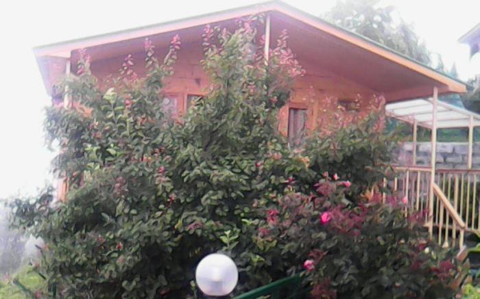 Snow King Retreat & Revolving Restaurant ,Cottages, Huts, Villas - Fagu Hill Top Kufri Shimla