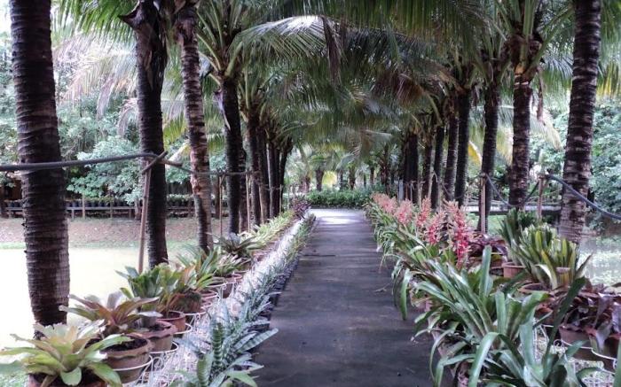 Rai Sai Luang Resort