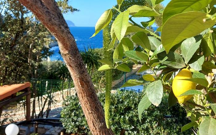 VFH Villa Flavia Eco B&B