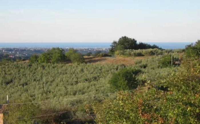 Angelucci Agriturismo con Camere e Agri Camping