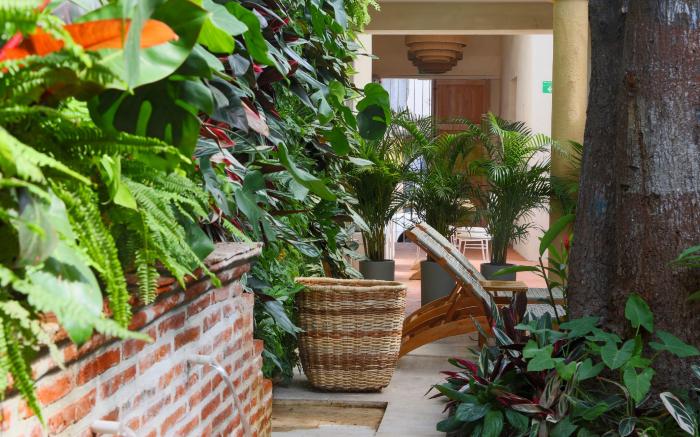 Casa Jaguar