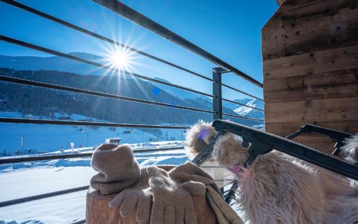 Hotel Vetta Alpine Relax