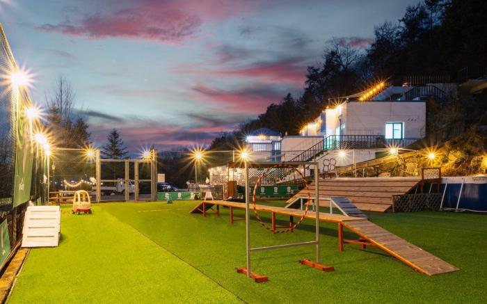 Chuncheon Dogandstay