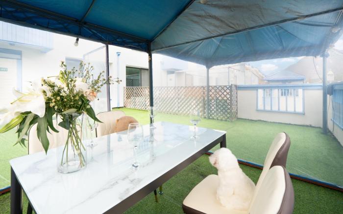 Chuncheon Dogandstay