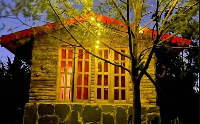 Once Upon A Forest, Nainital 