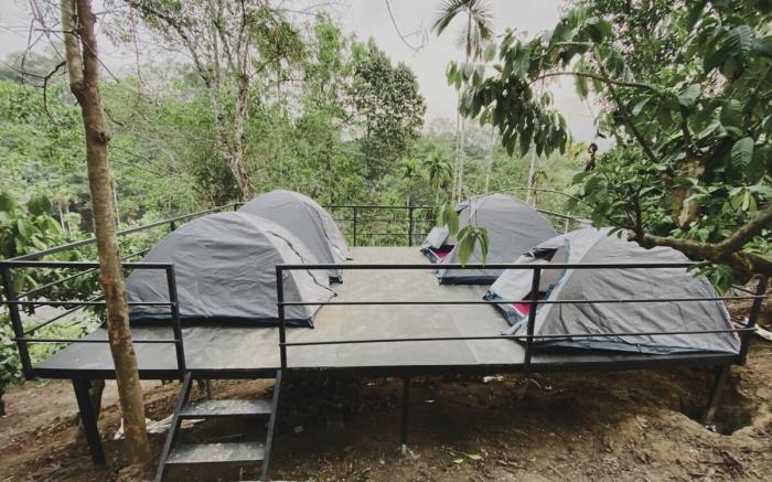 Camping In View of Chempra peak At Beautiful Sport