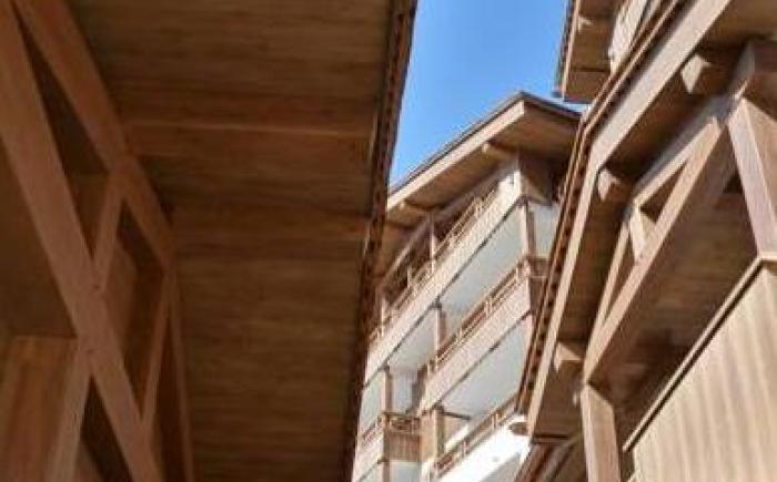 Residence - Les Grandes Alpes