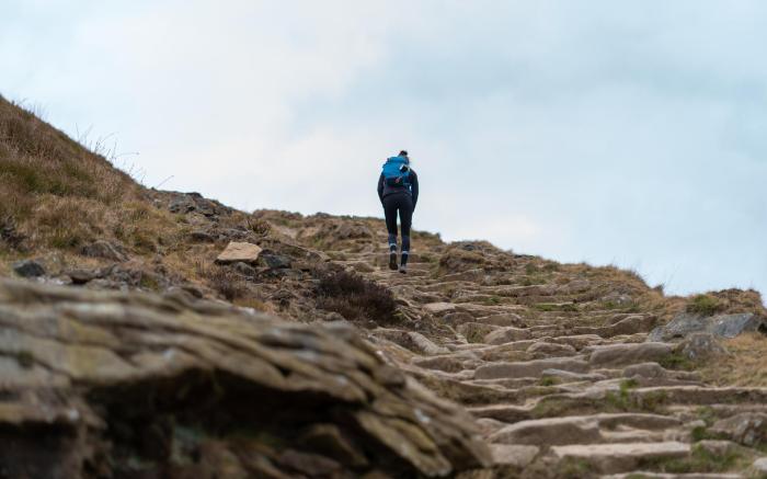 Become Wild, Edale