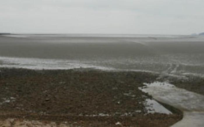 Taean Anmyeondo Laon Pet Pension