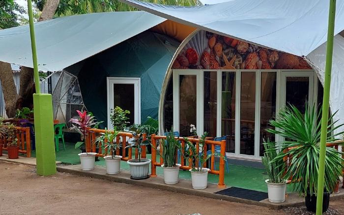 Shenanigans Glamping and Camping Resort