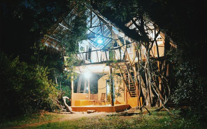 Back of Beyond Dehigaha Ela