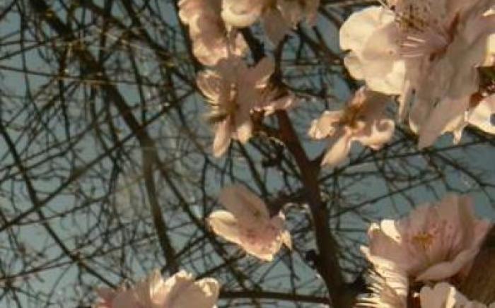 Hotel St.Martiner Castell