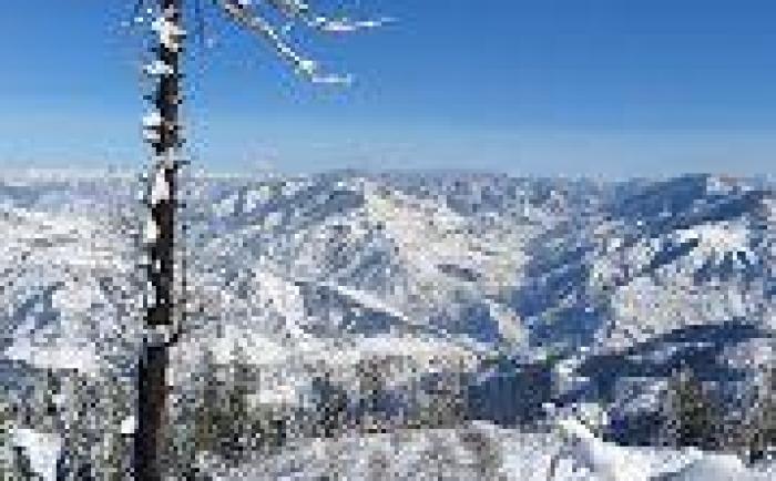 Stay With Vashisht| Serene Homely Stay at Fagu