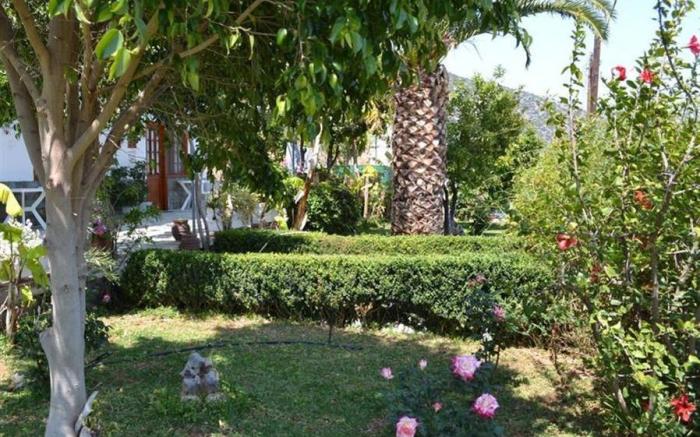 Dimitras House