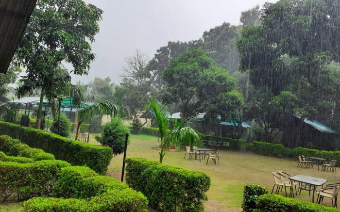 The Palms Resort, Raiwala, Rishikesh