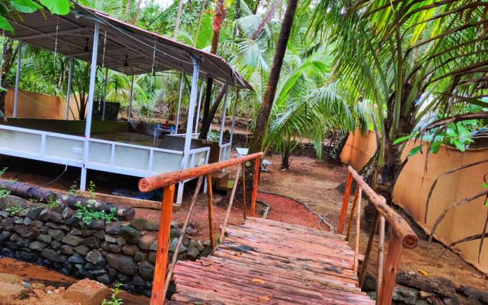 Anand Yoga Village