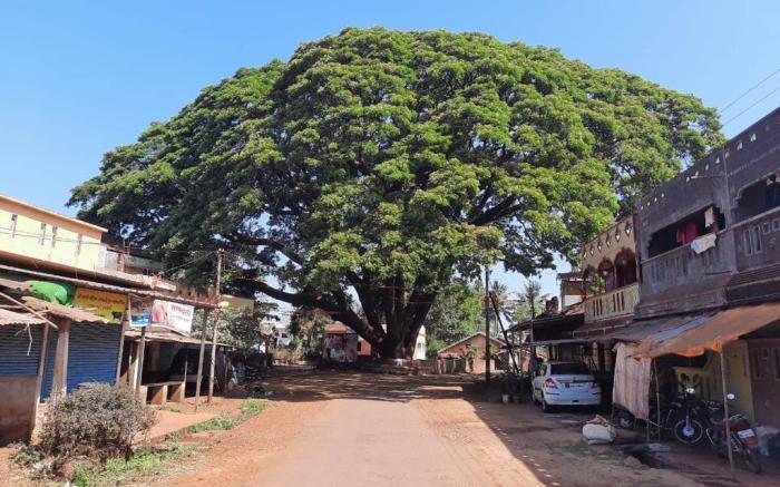 Perfect farm stay in a beautiful village 