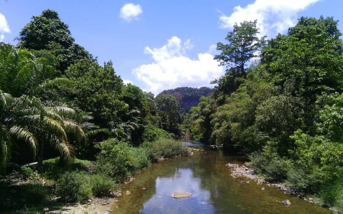 Wood Bungalow - Terrace - Forest View - Toilet
