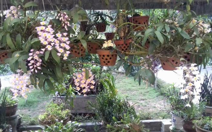 Ciel Homestay in Hue 