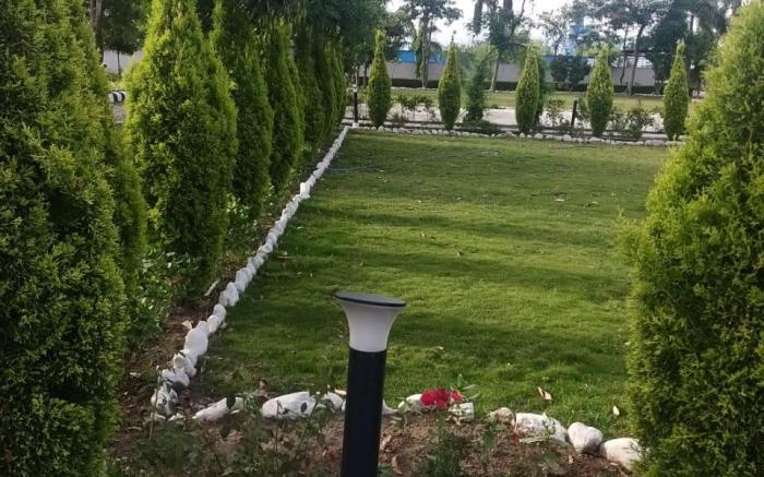 Nature's Nest Resort