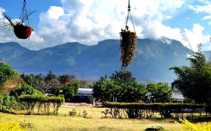 Safariland &  Guest house