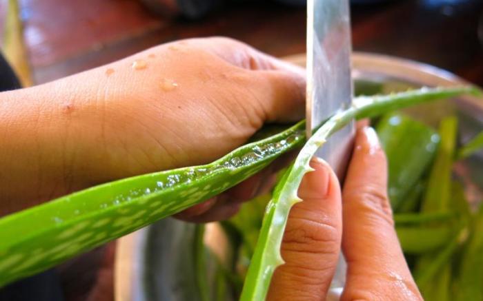 Samba Villas Beachfront View
