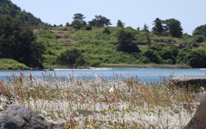 Hado fourseasons pension