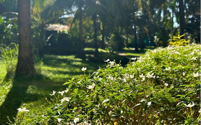 Jungle Hut-Annabelles Beach Apartments at Bernard Simao Calangute