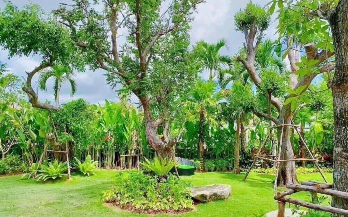 Coco Paradiso Phuket