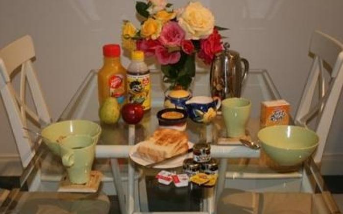 Amys House