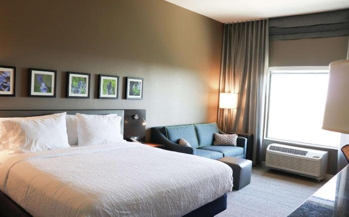 Hilton Garden Inn Austin Airport