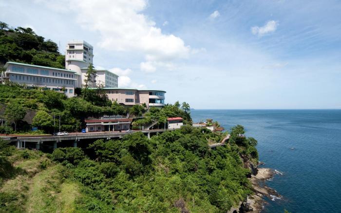 Hotel New Akao