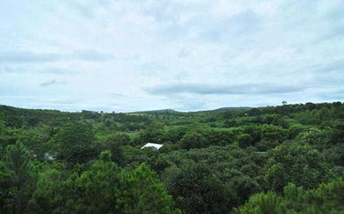 On The Rock Chaiyaphum Bed & Breakfast