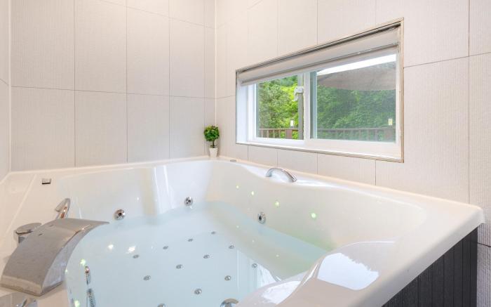 Gapyeong Gamseong216 Poolvilla Pension