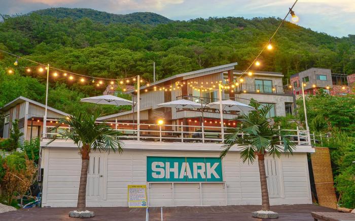 Shark Village
