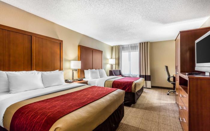 Comfort Inn & Suites Airport-American Way