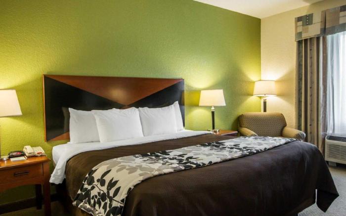 Sleep Inn & Suites Montgomery East I-85