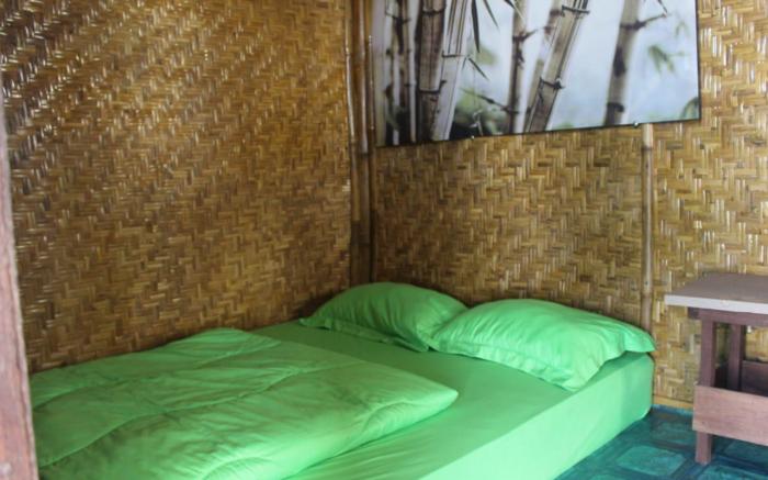 Bali Tree House