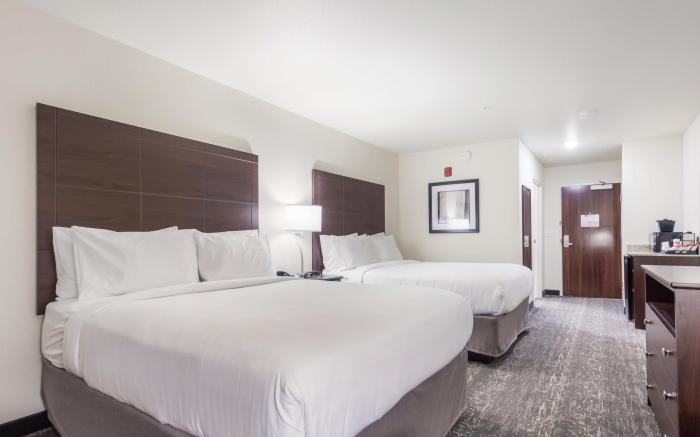 Cobblestone Inn & Suites - Fremont