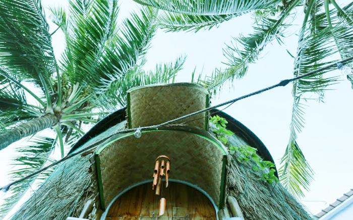 Cocohut Hoi An Homestay