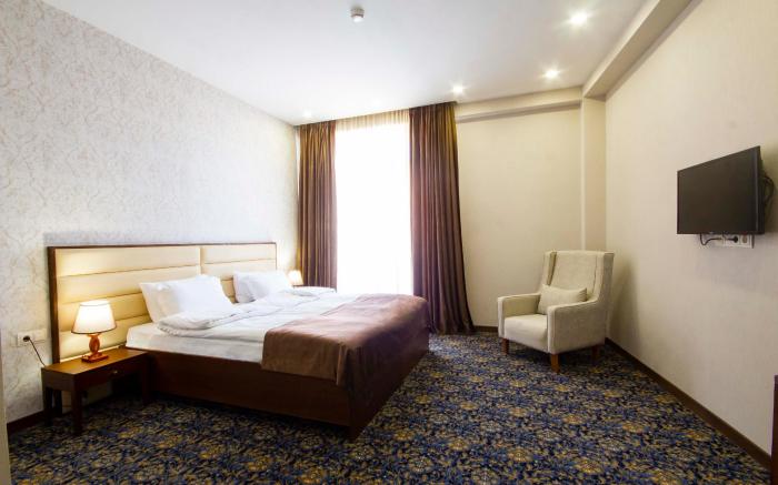 sota metekhi hotel